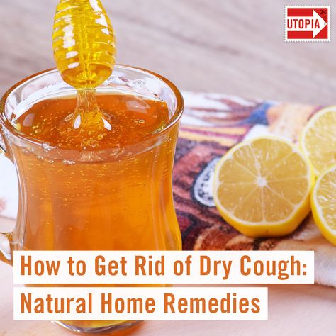 Wondering how to get rid of dry cough with only a handful of natural home ingredients? Effective home remedies for dry coughs range from honey to natural herbs. Put them to proper use and start breathing easy again. #cough #remedies #drycough #homeremedy #householdremedies #healthy #nutrition #cleaneating #healthyfood #eatclean #gingerrecipes #jhealthilthiylifving Honey Cough Remedy, Homemade Cough Syrup, Homemade Cough Remedies, Dry Cough Remedies, How To Breathe, Cough Medicine, Ginger Benefits, Dry Cough, Home Remedy For Cough