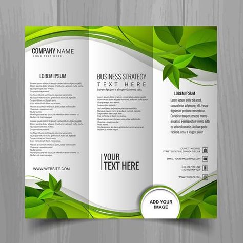 Green Brochure Design, Magazine Cover Template, Brochure Cover Design, Brochure Design Creative, Brochure Design Layout, Trifold Brochure Design, Logo Design Video, Ui Design Website, Brochure Design Inspiration