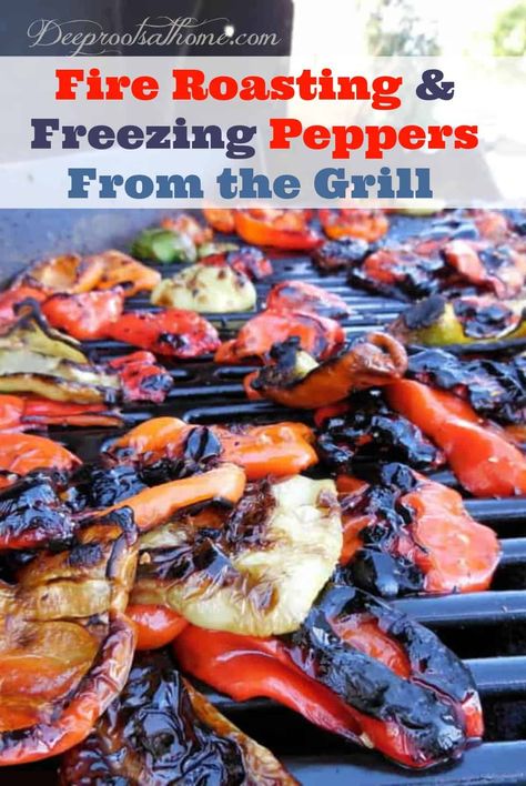 Roasting Vegetables, Homemade Pesto Sauce, Grill Food, Grilled Roast, Grilled Peppers, Patties Recipe, Grilled Burgers, Grilled Zucchini, Delicious Lunch