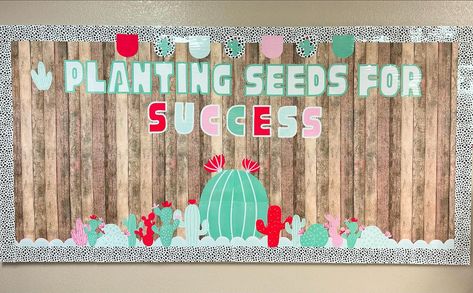 Another bulletin board complete! ☑️🥰 #backtoschool #schoolsocialworker #schoolcounseling #classroomdecor #desertclassroom #cactusdecor #bulletinboardideas School Social Worker, The Bad Seed, Cactus Decor, Social Worker, Grade School, School Library, School Counseling, Bulletin Boards, Classroom Decor