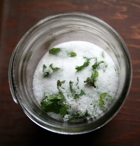 How to make Mint Infused Sugar – Pixie's Pocket Spearmint Recipes, Diy Spice Mix, Mint Sugar, Infused Sugar, Canning Food Preservation, Mint Extract, Diy Spices, Local Fruit, Dried Peppers