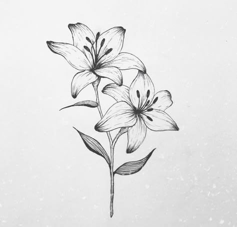 Tattoo Line Work, Lily Flower Tattoo, Lilly Flower Tattoo, Faith Tattoo On Wrist, Lilies Drawing, Lily Flower Tattoos, Tattoo Line, Flower Tattoo Drawings, Lilly Flower