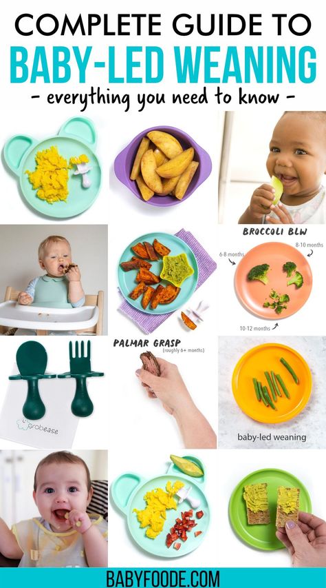 Baby Led Feeding 6 Months, Starting Baby Led Weaning 6 Months, Baby Led Weaning First Foods 6 Months No Teeth, 6 Month Feeding Guide, What Is Baby Led Weaning, How To Cut Food For Baby Led Weaning, Sample 6 Month Feeding Schedule, Baby Led Weaning Schedule, Baby Led Weaning 4 Months