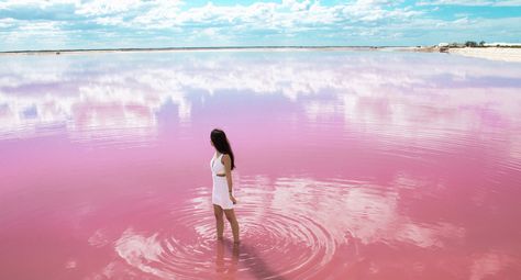 Los 7 lagos más sorprendentes y extraños del mundo Pink Lake, Yucatan Mexico, Pink Water, Mexico Vacation, Cancun Mexico, World Photography, Cozumel, Mexico Travel, Riviera Maya