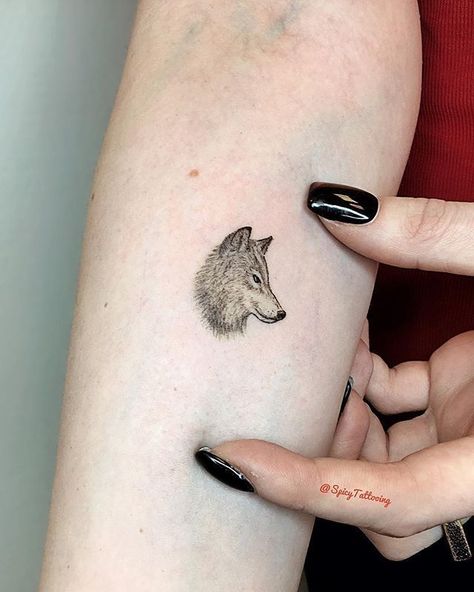 Wolf tattoos are one of the most popular tattoos for men due to their primordial force and powerful ferocity meaning. Wolf And Dragonfly Tattoo, Simple Wolf Tattoo, Wolf Tattoos For Women, Minimal Inspiration, Tattoos For Females, Small Wolf Tattoo, Wolf Tattoos Men, Tier Tattoo, Wolf Tattoo Sleeve