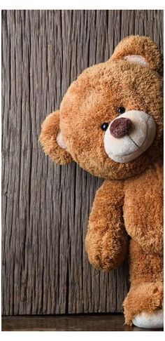 Wallpaper Teddy Bear, Big Teddy Bear, Teddy Bear Images, Big Teddy, Teddy Bear Wallpaper, Cute Bunny Cartoon, Teddy Bear Pictures, Brown Teddy Bear, Bear Pictures