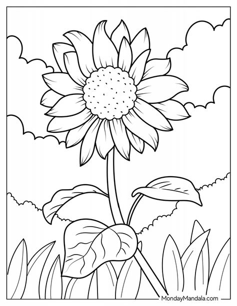 Daisy Coloring Pages, Spongebob Coloring, Flower Coloring Sheets, Spring Drawing, Bobbie Goods, Free Kids Coloring Pages, Spring Coloring Pages, Unicorn Coloring Pages, Easy Coloring Pages