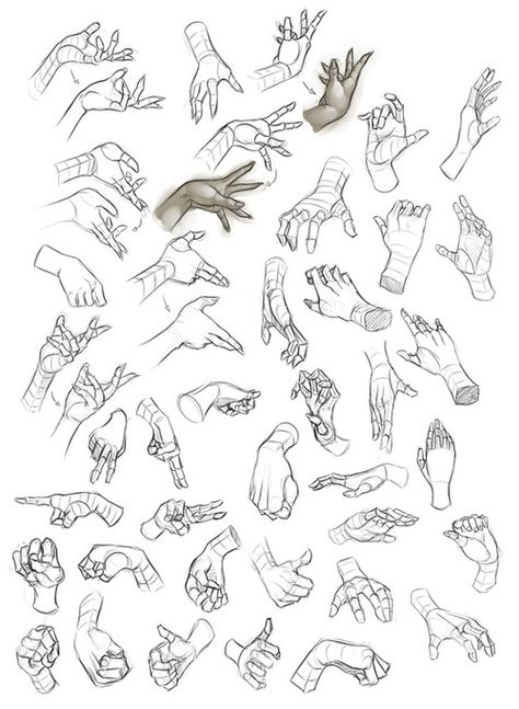 Hand Gestures, Hand Drawing Reference, Hand Reference, 캐릭터 드로잉, Anatomy Drawing, Poses References, Anatomy Reference, Drawing Practice, Drawing Lessons