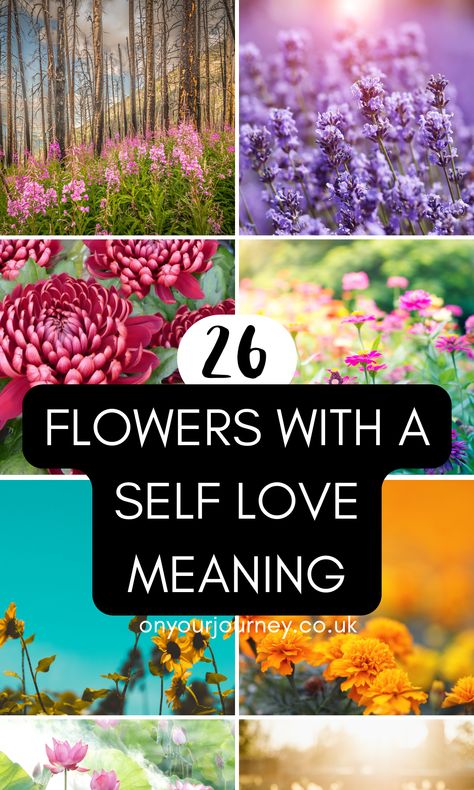 26 Beautiful Flowers with Meanings of Self Love - On Your Journey Self Love Meaning, Self Love Flower, Lily Meaning, Tulips Meaning, Love Meaning, Lilac Plant, Flower Tattoo Meanings, Beautiful Meaning, Red Carnation