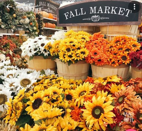 Image about flowers in Autumn by Pearl Aranda Activity Aesthetic, Farmers Market Aesthetic, Autumn Activity, Market Aesthetic, Autumn Rain, Sunflower Yellow, Fall Decoration, Fall Inspo, Fall Pictures