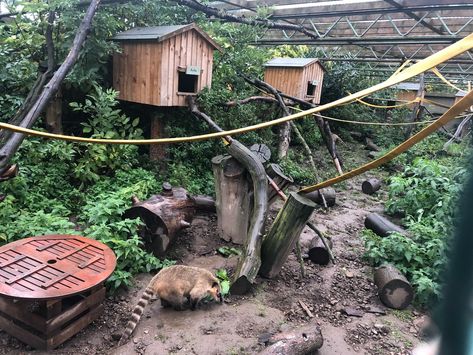 Binturong Enclosure, Coati Enrichment, Lemur Enclosure, Monkey Enclosure, Zoo Building, Zoo Enclosures, Zoo Exhibit, Zoo Boo, Prehistoric Planet