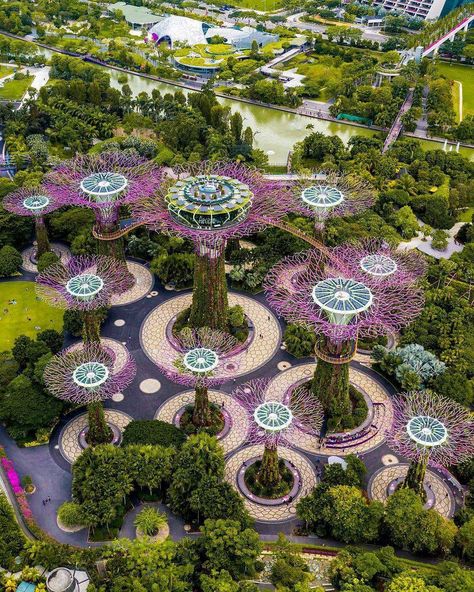 SingaporeTimes on Instagram: “Topdown of the Supertree, Garden By The Bay 🔝🌸🚁 • • This is one modern futuristic garden 🌴🌱🌿☘️🍀 • • Shot by: @aereonwong ➖➖➖➖➖➖➖➖➖➖➖➖➖➖➖➖…” Futuristic Garden Design, Alien Garden, Futuristic Garden, Paris December, Modern Futuristic, Gardens By The Bay, Farm Stay, Travel Itinerary, Bird Bath