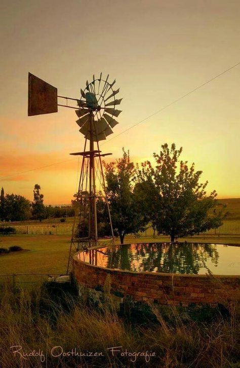 Windmill Windmill Photos, Farm Windmill, Windmill Water, Wind Mills, Old Windmills, Create A Business, Stock Tank, Country Scenes, Water Wheel