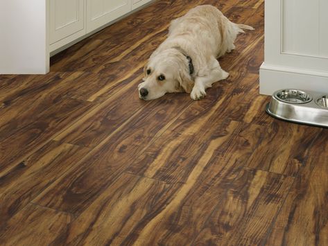 Paragon 7" Plus - Room View Shaw Vinyl Plank Flooring, Best Vinyl Plank Flooring, Pet Friendly Flooring, Shaw Flooring, Shaw Floors, Flooring Trends, Luxury Vinyl Plank Flooring, Durable Flooring, Best Flooring