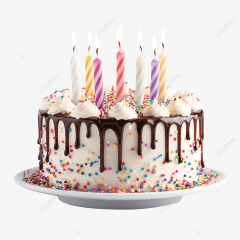 delicious birthday cake with candles white background birthday cake cake candle cake png Cake Png Image, Birthday Cake Png, Birthday Cale, Candle Background, Cake With Candles, Birthday Cake Cake, Cake Png, Candles White, Background Birthday