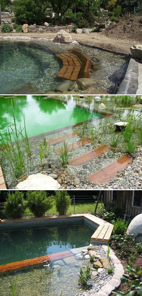 sustainable swimming pool Moderne Pools, Building A Swimming Pool, Natural Swimming Ponds, Indoor Pools, Family Pool, Swimming Pond, Natural Swimming Pools, Natural Swimming Pool, Dream Pools