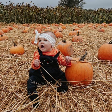 OK some of you asked for photos of Rowan eating the straw at the pumpkin patch so I'm going to give what the audience wants LOL She was just taking handfuls and trying to stuff it into her mouth. WHHHHHYYYY Pumpkin Patch Photoshoot, Toddler Pictures, Fall Mini, Fall Time, Pumpkin Patch, Baby Photos, Lifestyle Blog, 12 Months, Straw