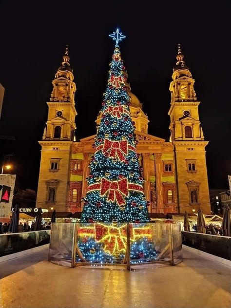 Budapest Christmas Market, Budapest Christmas, St Stephen, Saint Stephen, Travel Girl, Budapest Hungary, Christmas Market, Lets Celebrate, Girls Trip