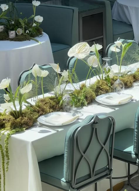 Cascading Table Arrangement, Orchid Table Setting, Abstract Wedding Decor, Moss Table Wedding, Wedding Table Settings Candles, Cuvier Club Wedding, Seaglass Centerpiece, Ikebana Tablescape, Green And White Tablescape