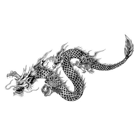 A cool oriental tattoo art of a simple Chinese dragon. Dragon Tattoo Realistic, East Asian Dragon, Chinese Zodiac Tattoo, Chinese Dragon Tattoo, Korean Dragon, Asian Dragon Tattoo, Orca Tattoo, Tato Naga, Dragons Tattoo