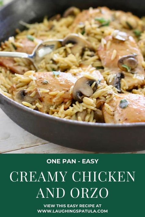 Creamy Chicken And Orzo, Orzo Skillet, One Skillet Chicken, Chicken And Orzo, Eggnog Recipes, Recipes Spinach, Chicken With Mushrooms, Recipes Avocado, Recipes Rice