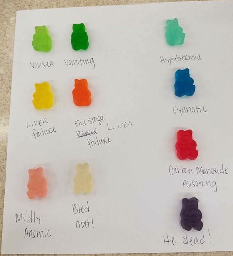 Vet med diagnosis via gummy bears Nurse Meme, Nurse Things, Lab Week, Happy Nurses Week, Nursing School Survival, Nursing School Studying, Nursing School Tips, Medical Tests, Phlebotomy