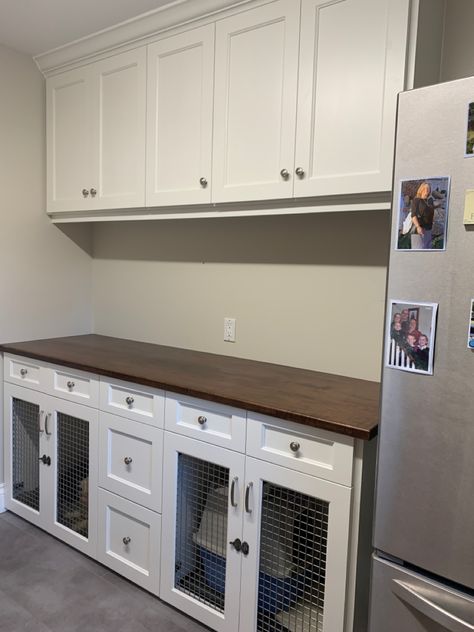 Dog Kennel In Cabinet, Office With Pet Space, Dog Kennel Ideas Indoor Laundry Room, Dog Crate Cabinet Built Ins, Custom Dog Crates Built Ins, Dog Cabinet Kennel, Dog Kennel Built In Cabinets, Laundry Room With Built In Dog Kennel, Built In Dog Kennel Mudroom