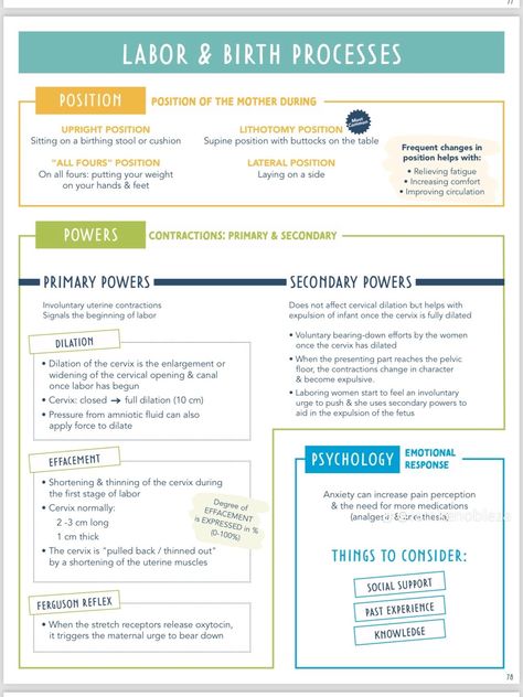 Intrapartum Nursing, Maternal Newborn Nursing, Maternal Nursing, Pediatric Nursing Study, Lpn School, Clinic Nurse, Nursing School Prep, Med Notes, Newborn Nursing