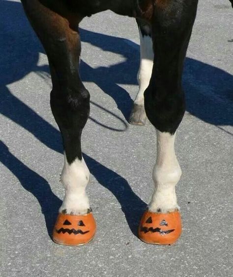 To cute lol Horse Halloween Ideas, Horse Hooves, Horse Halloween Costumes, Pumpkin Painted, Painted Horse, Painted Horses, Hallowen Ideas, Horse Costumes, Hallowen Costume