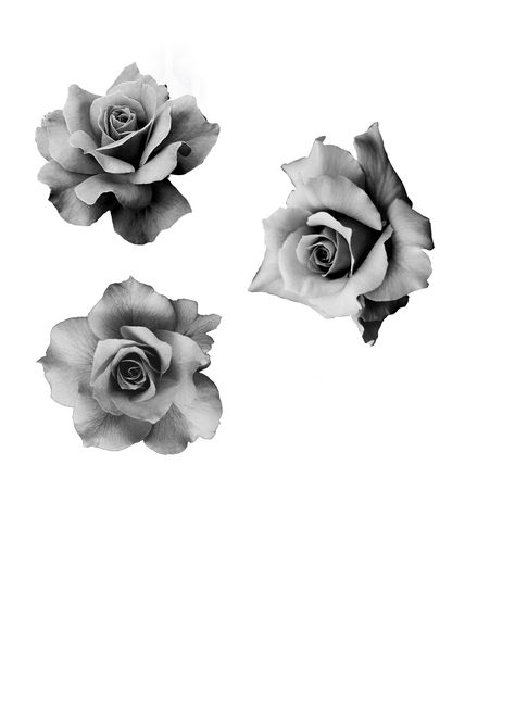 Micro Realism Rose Tattoo, Black And Grey Realism Flower Tattoo, Realism Reference, Roses Black And White, Tattoo Table, Micro Realism, Rose Reference, Rose Flower Pictures, Flower Sleeve