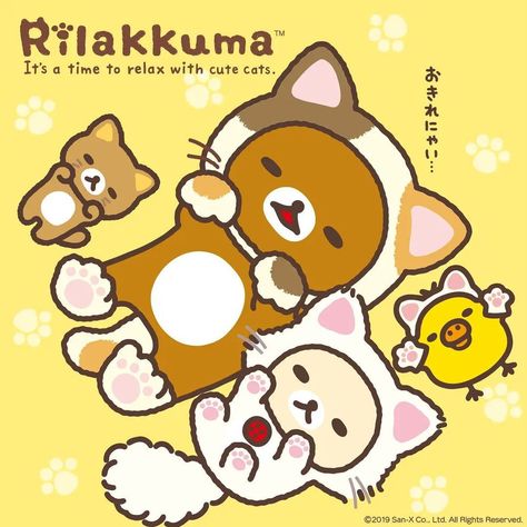 Rilakkuma Cat, Simple Iphone Wallpaper, Cat Posters, Rilakkuma, Relax Time, Hello Kitty Wallpaper, Cat Nap, Colorful Drawings, Cute Crafts