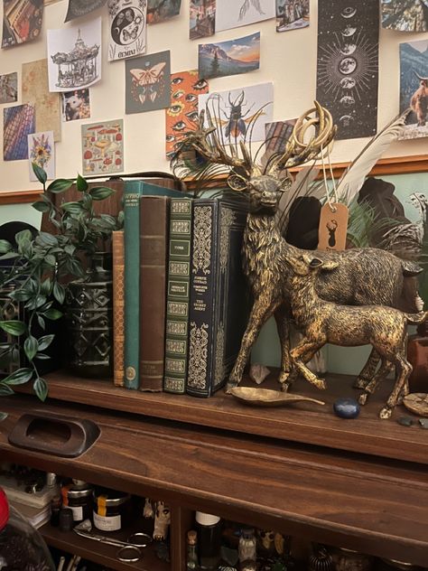 Boho Academia Bedroom, Goblincore Bookshelf, Bedroom Decor Dark Academia, Lotr Inspired Bedroom, Green Bookshelf Aesthetic, Gremlincore Bedroom, Cryptidcore Bedroom, Bookshelf Academia, Bookworm Room Aesthetic