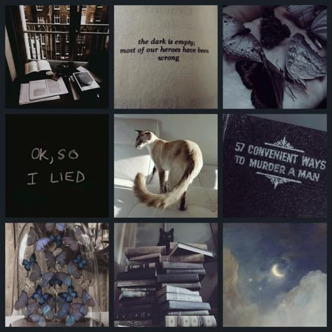 Character Board Aesthetic, Character Mood Boards Aesthetic, Character Aesthetic Board, Animal Moodboard, Character Mood Boards, Adopt Idea, Aesthetic Moodboard, Mood Board Inspiration, Mood Board Design