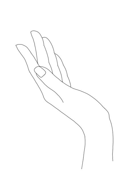 Women's hand linear line drawing minimal illustration by The Colour Study Drawing Of A Hand, Womens Hands, Line Drawing Illustration, Drawing Minimal, Draw Tutorial, Linear Line, Minimal Illustration, 심플한 그림, Black Drawing