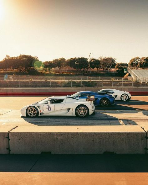 Laguna Seca, Koenigsegg, Family Members, Sports