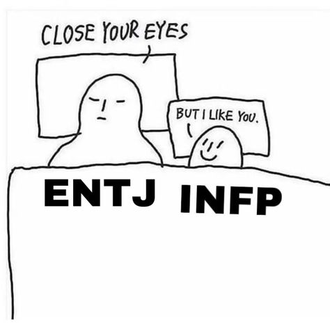 Entj Relationships, Infp T Personality, Infp Relationships, Intj Enfp, 16 Personality Types, Introvert Extrovert, The 16 Personality Types, Infp Personality Type, Mbti Test