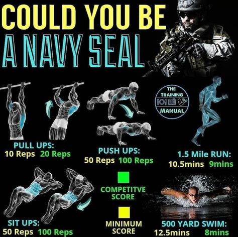 Special Forces Workout, Seal Workout, Navy Seal Workout, Navy Seal Training, Calisthenics Workout For Beginners, King Warrior, Army Workout, Calisthenics Workout Plan, Fighter Workout