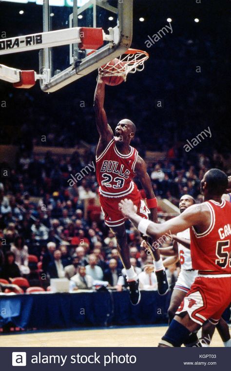 Michael Jordan dunking, 1989. Chicago Bulls versus New York Knicks at Madison Square Garden in New York. Stock Photo Jordan Free Throw Dunk, Michael Jordan Free Throw, Michael Jordan Dunking, Michael Jordan Photos, Jeffrey Jordan, Dunk Contest, Jordan Bulls, Michael Jordan Chicago Bulls, Michael Jordan Basketball