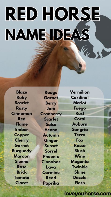 Choosing the right name for a horse is a significant event for any owner.

A name is more than just an identifier; it reflects the horse’s personality, characteristics, and the bond between the horse and its owner.

When it comes to red-themed names, the allure is undeniable. Red is a color associated with passion, energy, and strength—attributes often seen in horses. Themed Names, Horse Hacks, Red Horse, Horse Things, Personality Characteristics, Horse Names, Book Writing Inspiration, Horse World, Writing Stuff