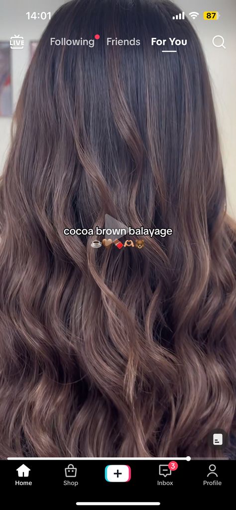 Cocoa Brown Balayage, Latte Brown Hair, Brown Sugar Brunette, Latte Hair, Cowgirl Hair, Coffee Brown Hair, Light Brunette Hair, Coffee Hair, Light Brunette