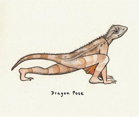 Yoga Posses, Dragon Poses, Yoga Drawing, Animal Yoga, Tiny Dragon, Yoga Illustration, Yoga Community, Yoga Day, Yoga Art