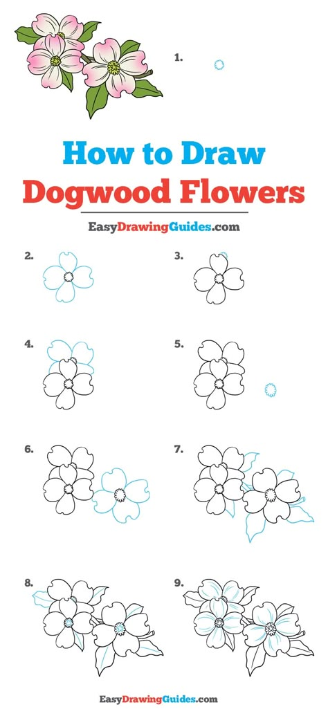 How to draw dogwood flowers: Step by step drawing tutorial Hur Man Ritar Blommor, Trin For Trin Tegning, Simple Flower Drawing, Easy Flower Drawings, Flower Step By Step, Drawing Guides, Flowers Easy, Draw Easy, Flower Drawing Tutorials