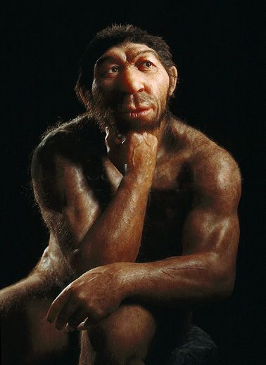 Homo sapiens - Wikipedia Homo Heidelbergensis, Peabody Museum, Best Country Singers, The Ancient One, Virgo Women, Oldest Human, Human Evolution, Greatest Mysteries, Charles Darwin