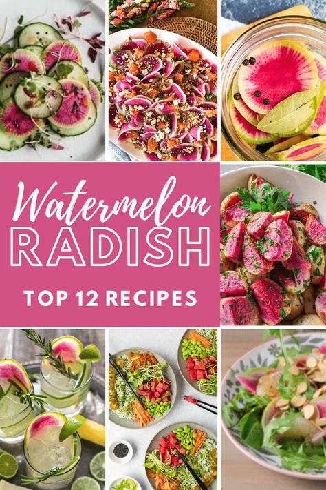 Not sure what to make with watermelon radishes?  This bright pink vegetable is easy to work with. Check out favorite pickles, roasted, sauteed, salads and even cocktail recipes! #peelwithzeal #watermelonradishes #radish #vegetable recipes #radishrecipe via @peelwithzeal Watermelon Radish Recipe, Watermelon Radish, Radish Recipes, Roasted Radishes, Radish Salad, Hearty Salads, Watermelon Recipes, Spring Vegetables, Radishes