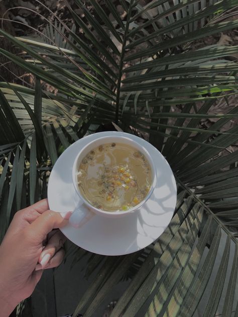 #chamomile #tea #aesthetictumblr #aesthetic #minimalist Chamomile Tea Aesthetic, Aesthetic Minimalist, Chamomile Tea, Selfie Ideas, 2024 Vision, Vision Board, Tea, Quick Saves, Art