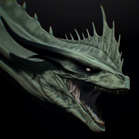 Kamil Winczewski | Wip Moondancer | Instagram Moondancer Dragon, Arte Game, Hotd Dragons, Dragon Base, Artist Tutorials, Dragon House, Project House, Game Of Thrones Dragons, Got Dragons