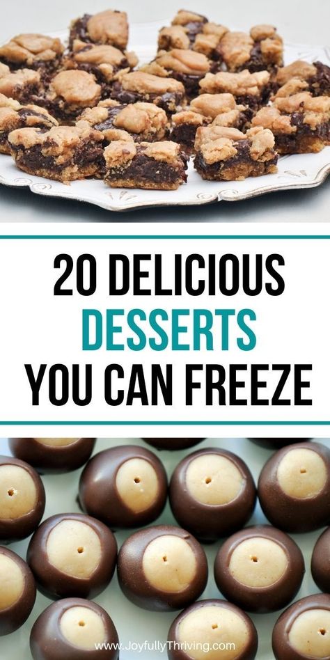 Freeze Desserts, Easy To Freeze Desserts, Freezer Meals Desserts, Freezer Meal Desserts, Pantry Dessert, Bulk Dessert Recipes, Freezer Baking, Freezer Friendly Baking, Freezer Party Food