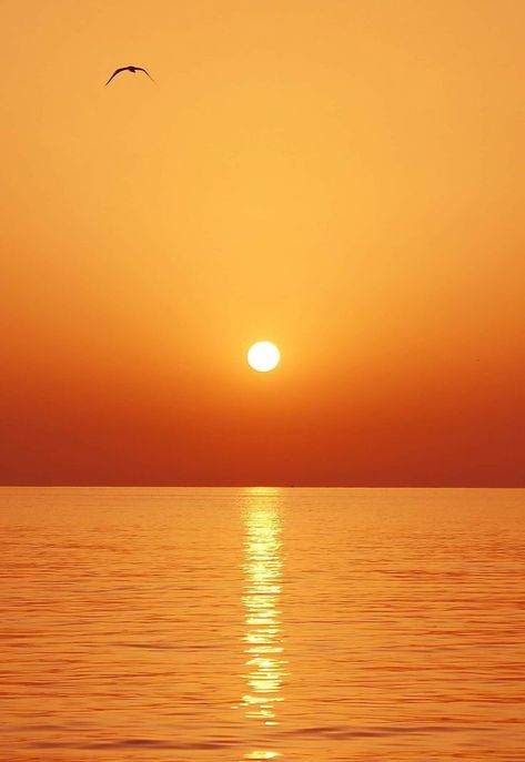 Evening Sun Set Images, Sunset Png, Good Evening Messages, Pictures Of The Sun, Fairy Images, Png Art, Moon Images, Ocean Wallpaper, Dont Touch My Phone Wallpapers