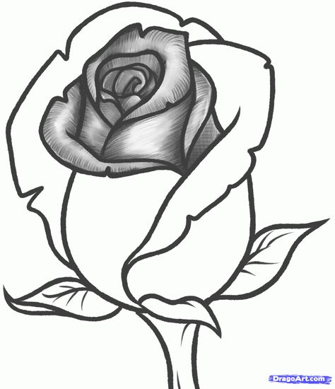 Drawing Of A Rose, Hur Man Ritar Blommor, Super Drawing, Ako Kresliť, Draw A Rose, Disney Drawing, Flower Step By Step, Painting Practice, Flower Drawing Tutorials