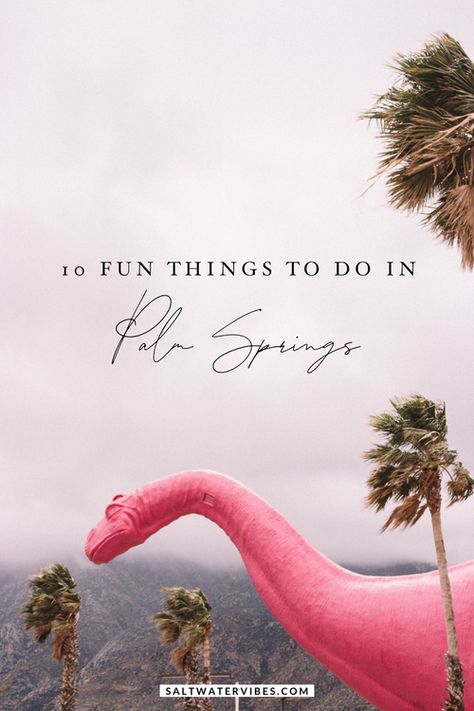 Things To Do In Palm Springs, California -Blog-Salt Water Vibes Things To Do Palm Springs, Things To Do In Palm Springs, Palm Springs In December, Cali Vibes, Palm Springs Christmas, Girls Trip Palm Springs, Palm Springs Activities, What To Do In Palm Springs Ca, Palm Springs In February